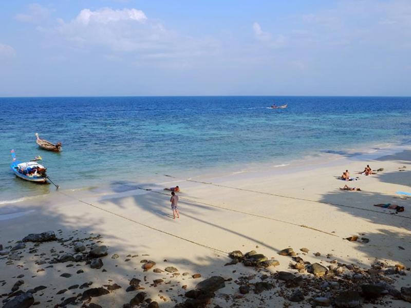 The Cove Resort