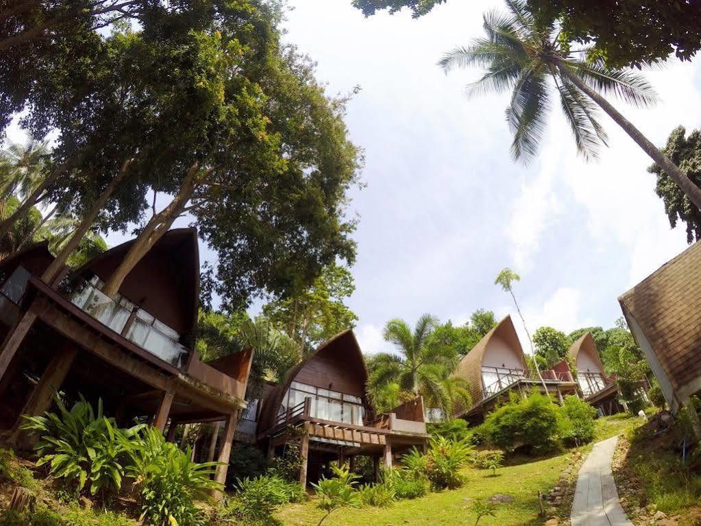 The Cove