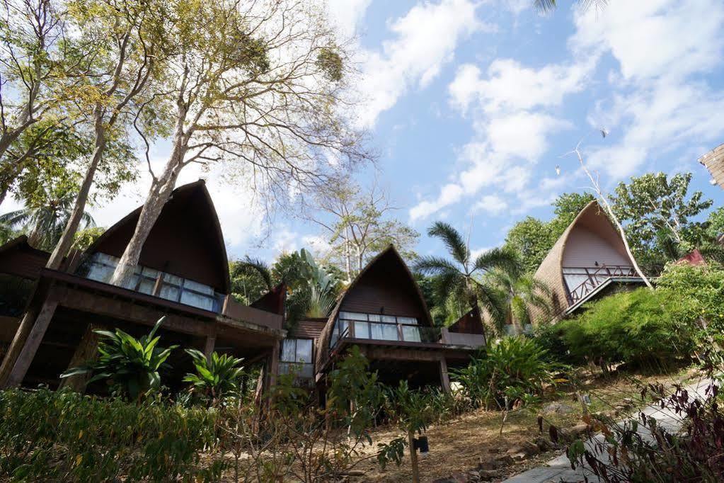 The Cove 3*