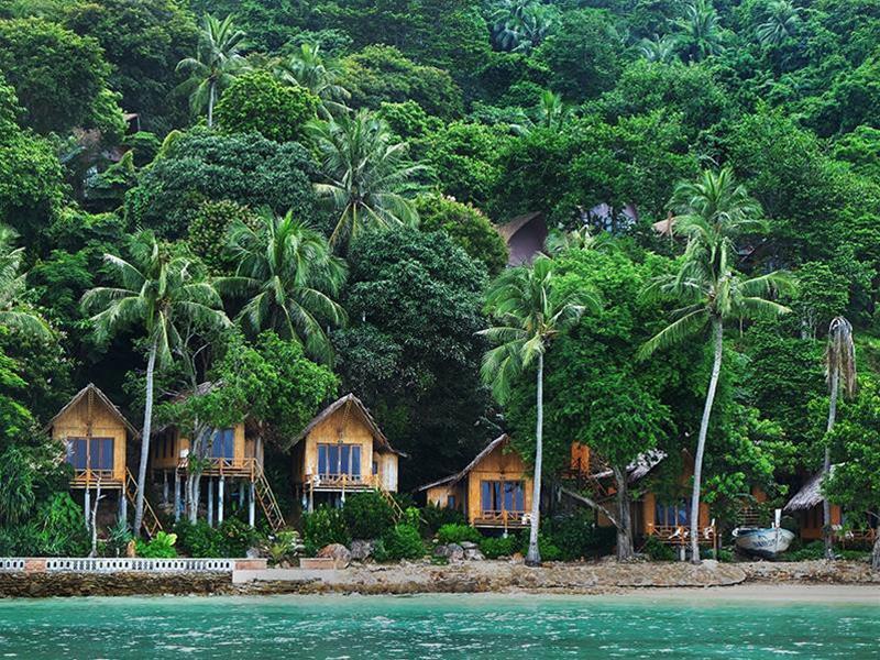 The Cove 3*